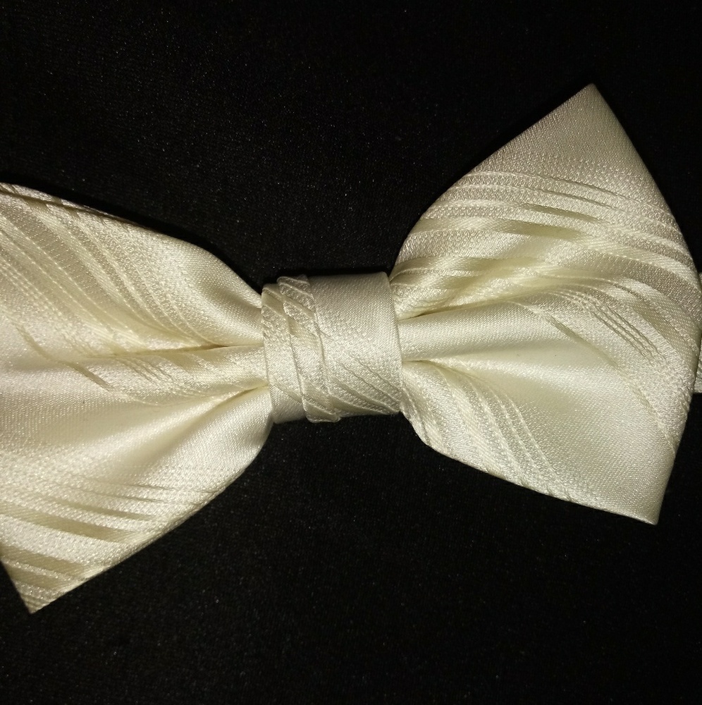 Apt 9 ***New With Tags*** Men's bow tie